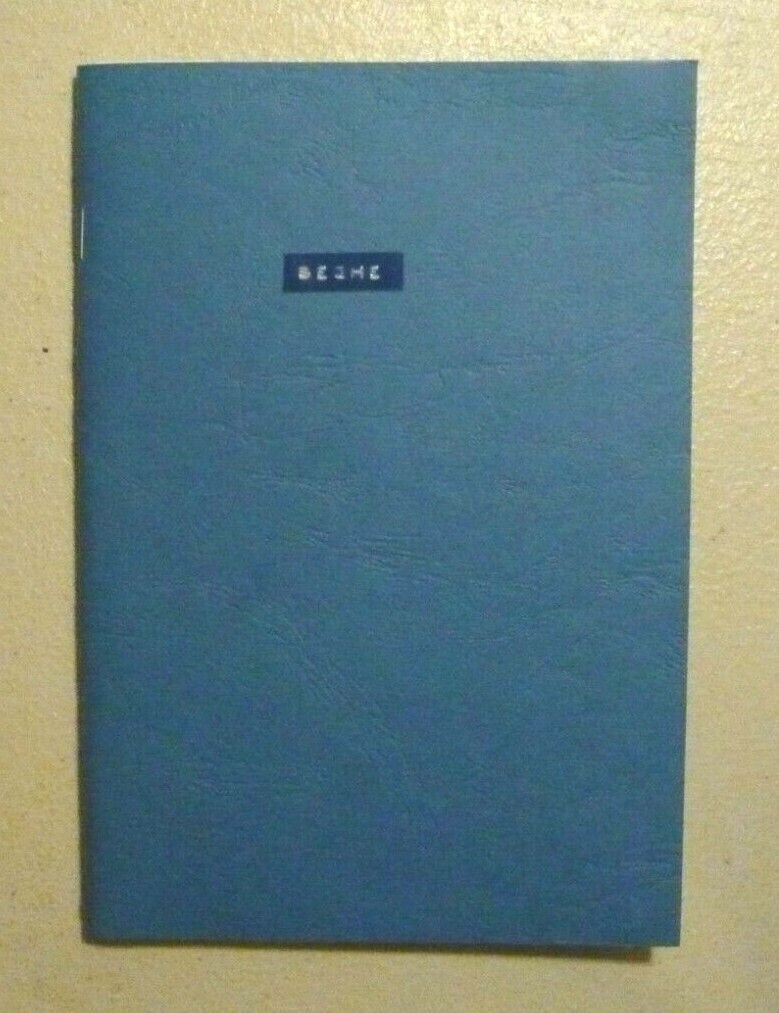 Michele Risi,BEGHE.A pop poems collection, ernest virgola,Bologna 2010[poesia