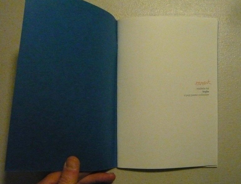 Michele Risi,BEGHE.A pop poems collection, ernest virgola,Bologna 2010[poesia