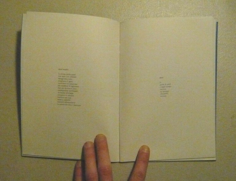 Michele Risi,BEGHE.A pop poems collection, ernest virgola,Bologna 2010[poesia