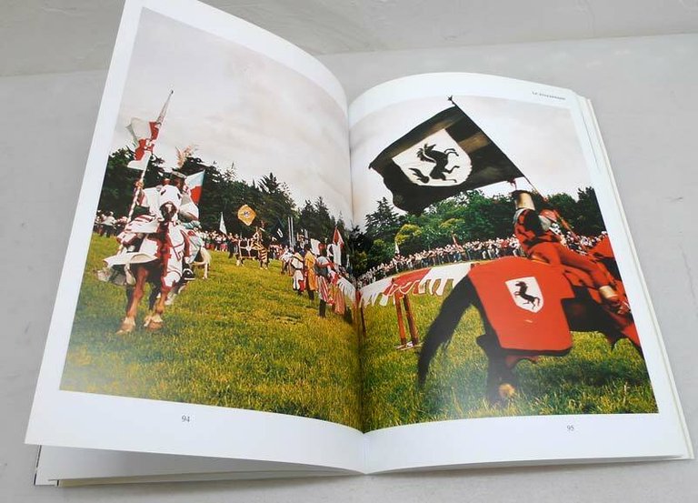Mioni,LE FELSINARIE.Celebrazioni storiche di Bologna,Costa 2002[storia,feste