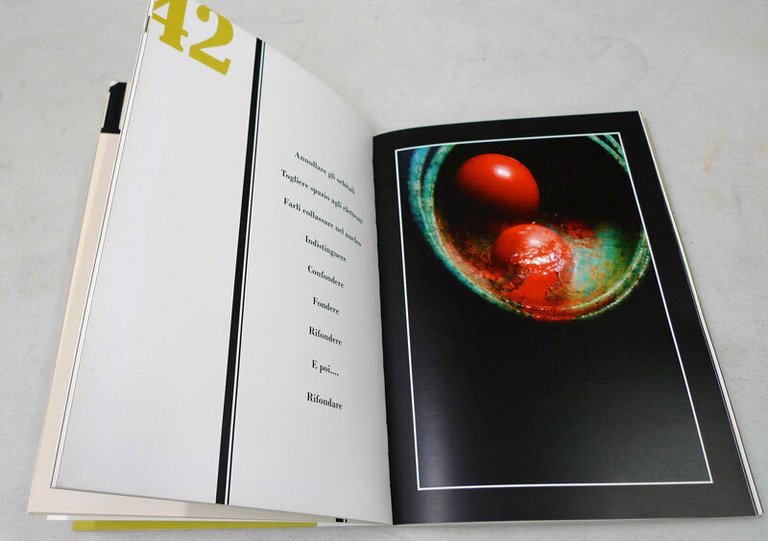 Mirco Belacchi,ENTROPIA FOTOGRAFICA,Greta 2009[catalogo mostra,fotografia,arte