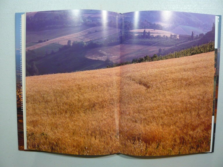 Monetti,LA COLLINA DI BOLOGNA Paesaggi e orizzonti, 1986