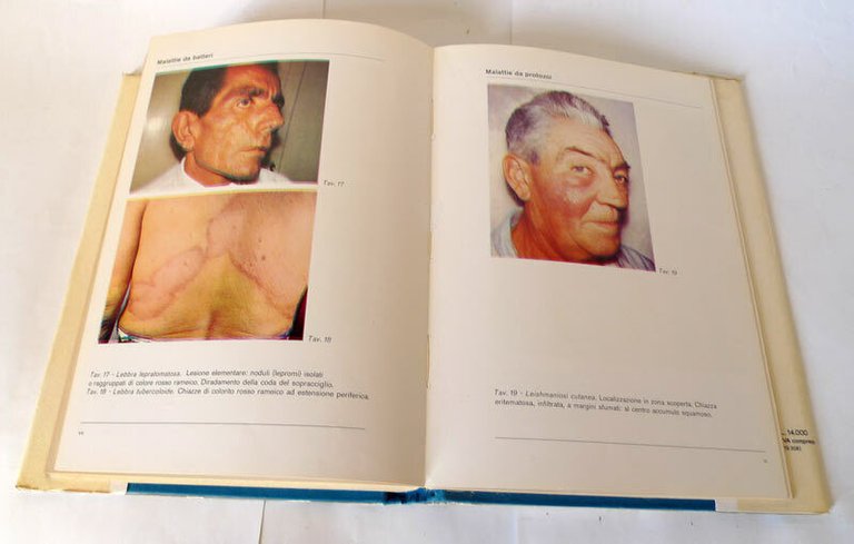 Montagnani/Pisani,NOZIONI DI DERMATOLOGIA E VENEROLOGIA,1973 Monduzzi[medicina