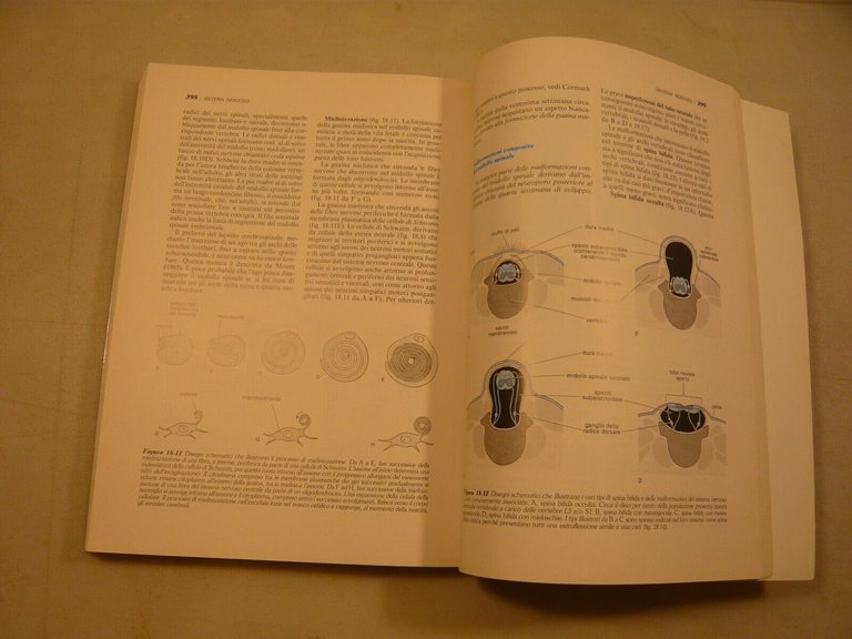 Moore,LO SVILUPPO DELL’UOMO.EMBRIOLOGIA A ORIENTAMENTO CLINICO,1995