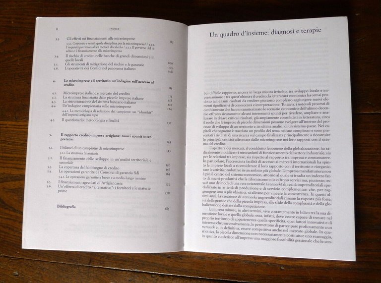 Morelli,CREDITO, SISTEMI DI GARANZIA E MICROIMPRESE,2004 Carocci[ECONOMIA