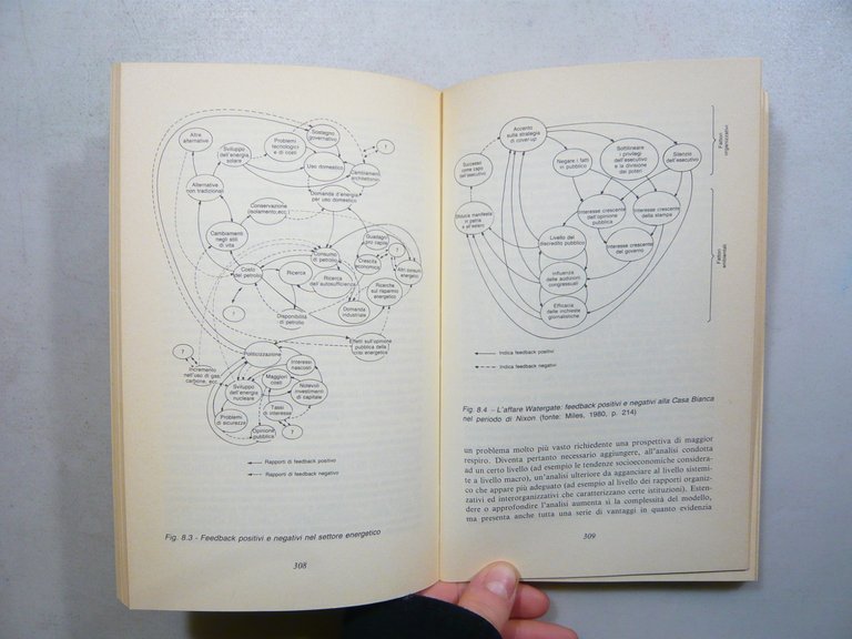 Morgan,IMAGES Le metafore dell’organizzazione,F.Angeli 1986[Massimo Balducci
