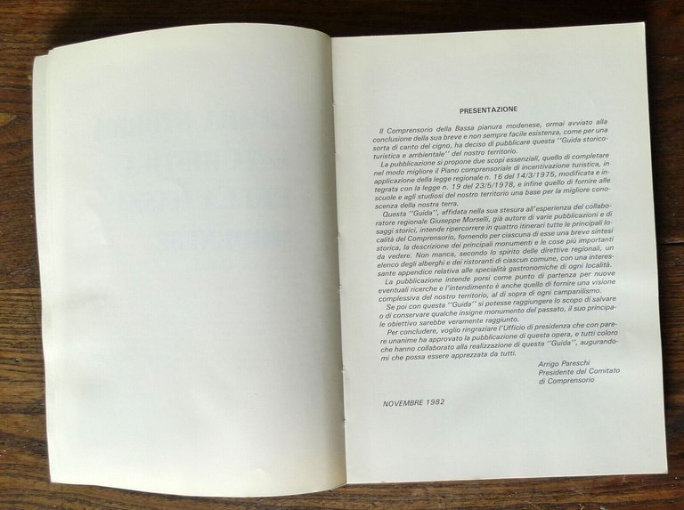 Morselli,GUIDA STORICA E TURISTICA DELLA BASSA MODENESE,'82[storia locale,Modena