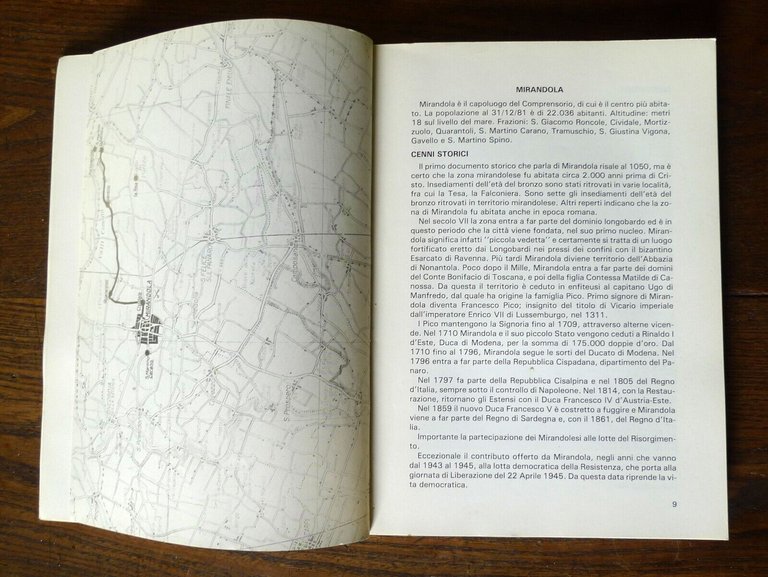 Morselli,GUIDA STORICA E TURISTICA DELLA BASSA MODENESE,'82[storia locale,Modena