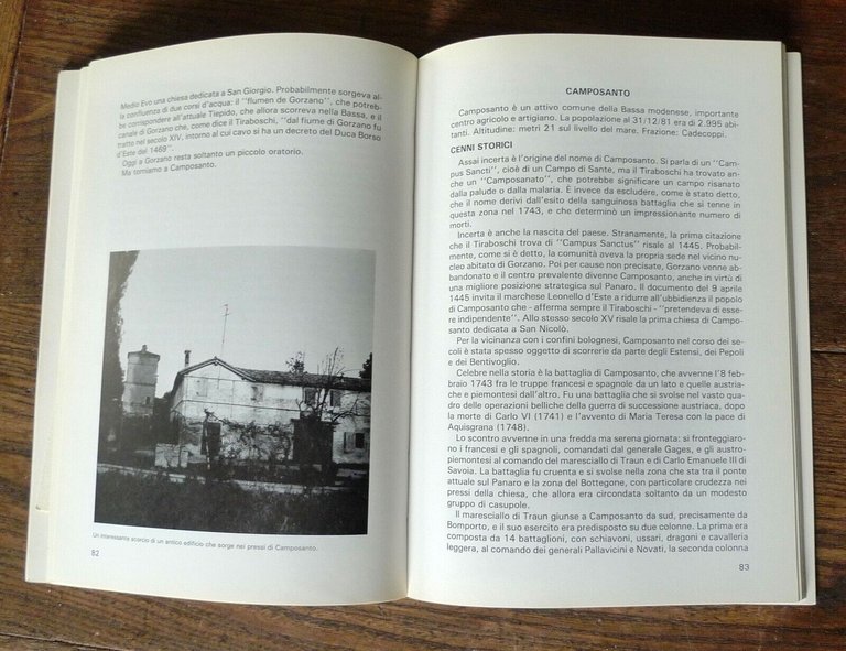 Morselli,GUIDA STORICA E TURISTICA DELLA BASSA MODENESE,'82[storia locale,Modena