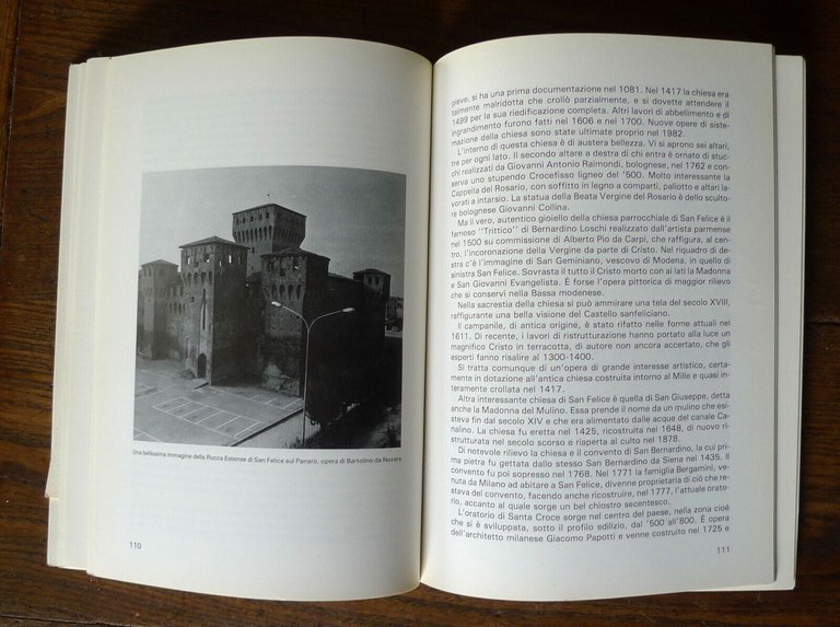 Morselli,GUIDA STORICA E TURISTICA DELLA BASSA MODENESE,'82[storia locale,Modena