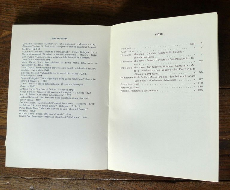 Morselli,GUIDA STORICA E TURISTICA DELLA BASSA MODENESE,'82[storia locale,Modena