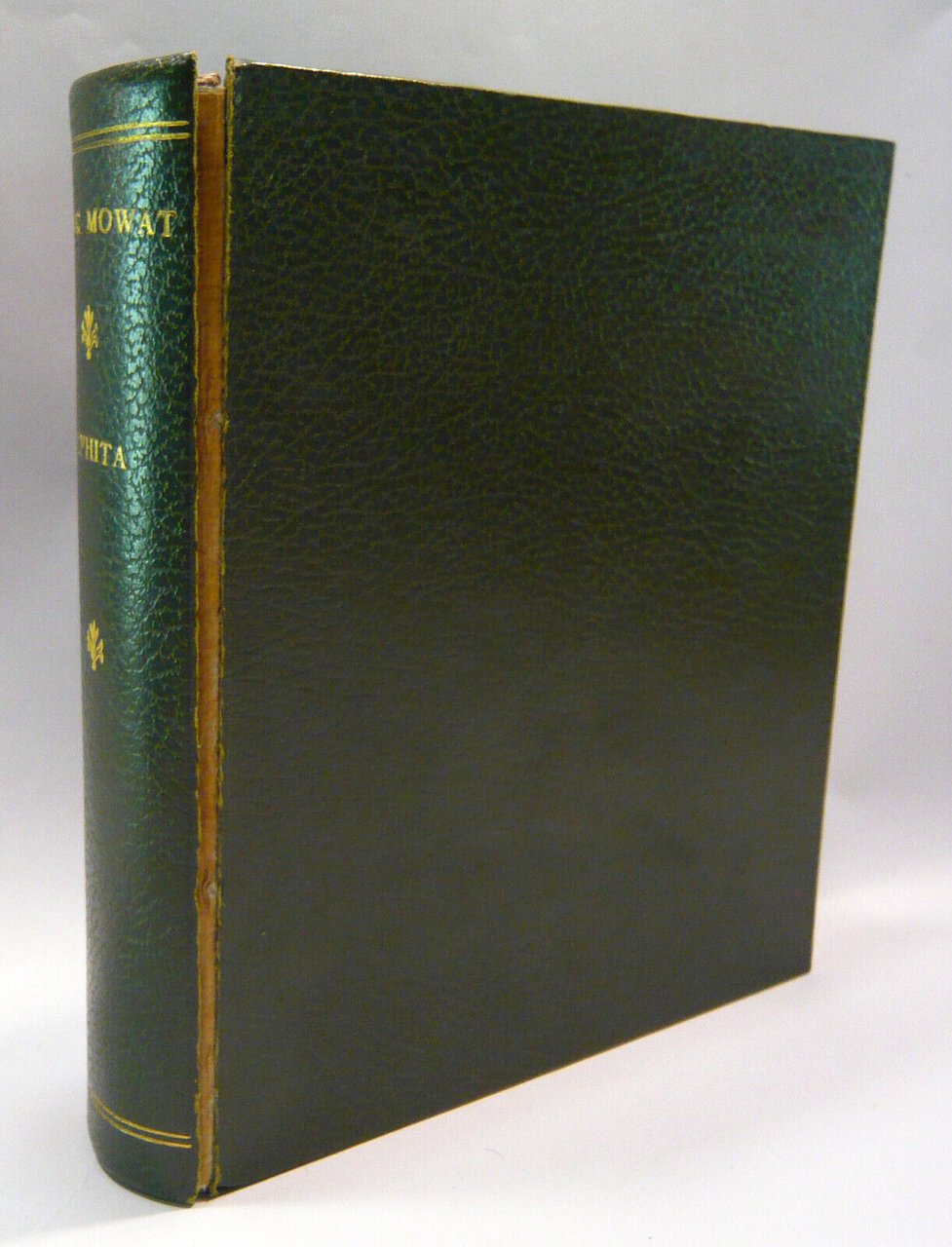 Mowat,ALPHITA.A MEDICO-BOTANICAL GLOSSARY,1887[anastatica,medicina medievale