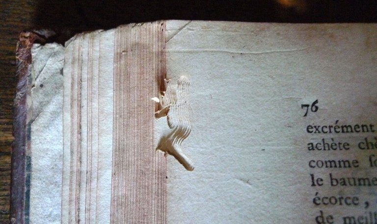 MOYSE CHARAS,PHARMACOPÉE ROYALE GALENIQUE ET CHYMIQUE,1753 BRUYSET[FARMACIA