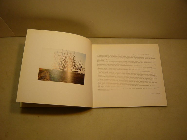 Nancy Motta,TERRA,Brindisi,2001