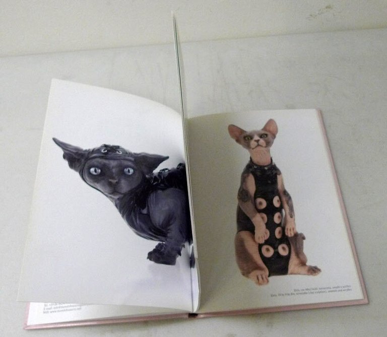 Niba,THE BEAUTY AND THE BEAST,2010 Mondo Bizzarro[catalogo arte contemporanea