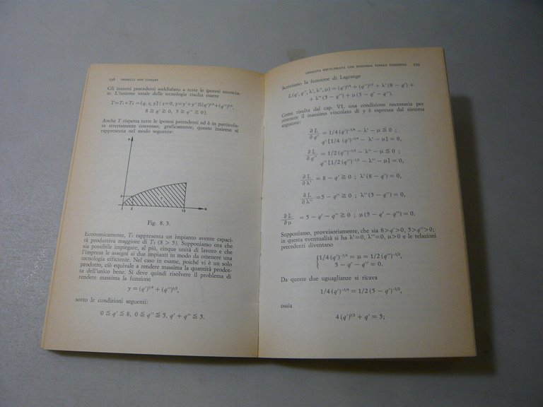 Nicola,LEZIONI DI DINAMICA ECONOMICA,Bologna,1976[critica economica