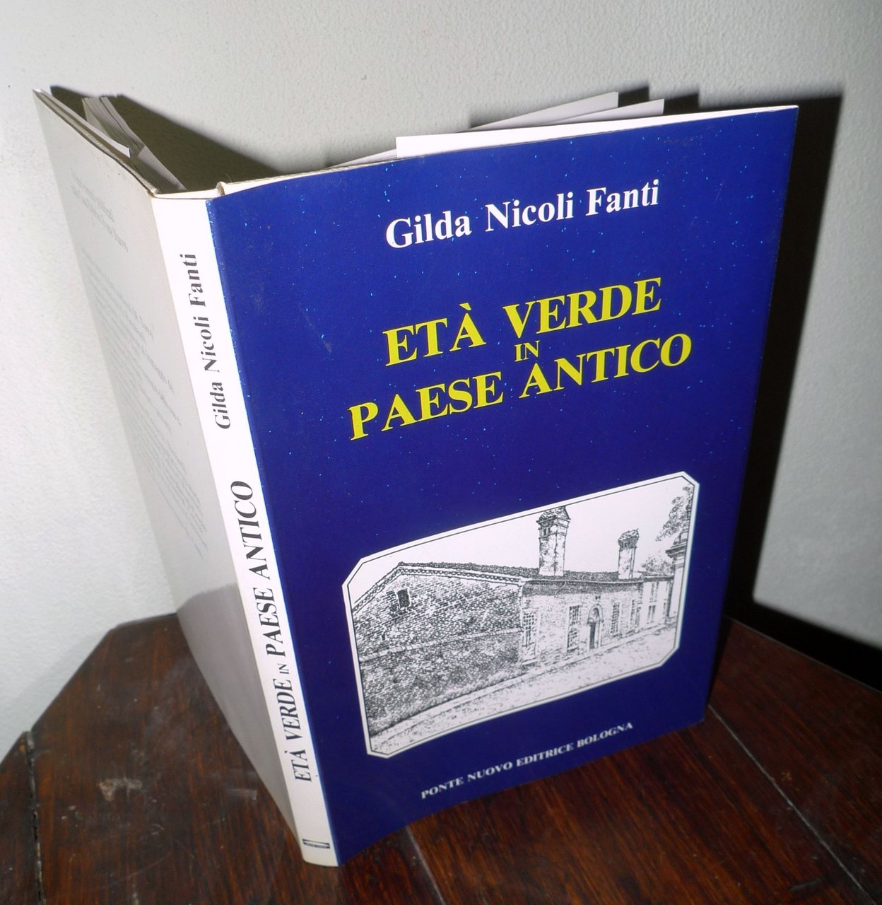 Nicoli Fanti,ETÀ VERDE IN PAESE ANTICO,1995[storia,Monestirolo,Bologna,Ferrara | Immagine principale