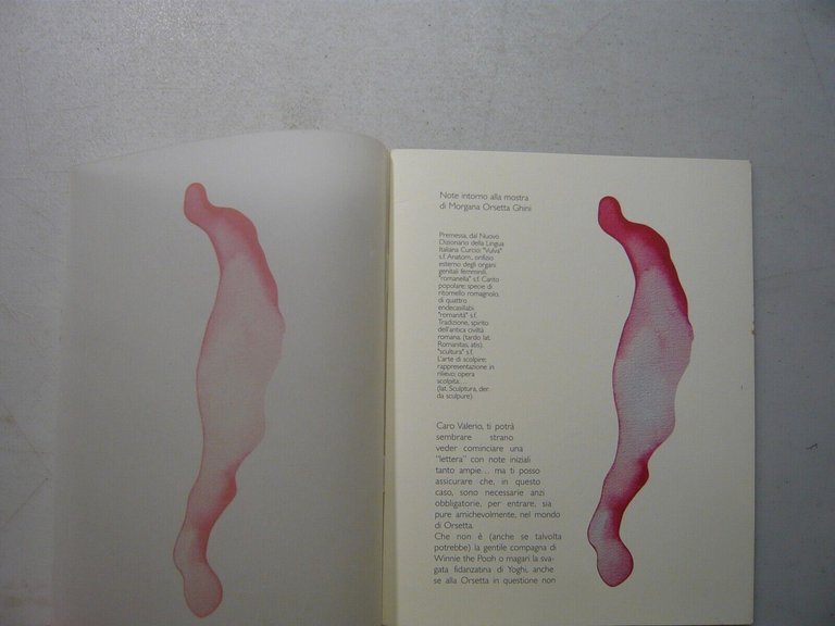 Note intorno alla mostra di Morgana Orsetta Ghini,Galleria Tacca Carrara,2001