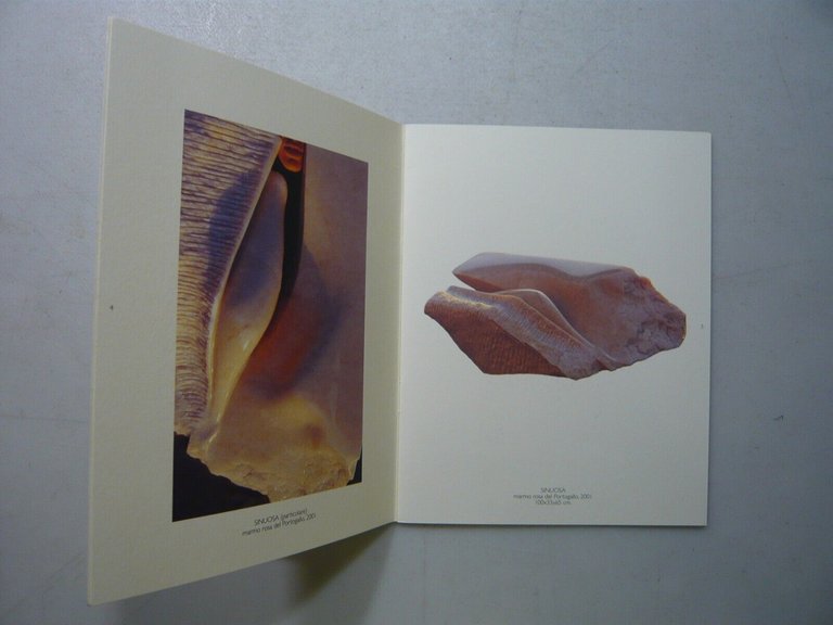 Note intorno alla mostra di Morgana Orsetta Ghini,Galleria Tacca Carrara,2001