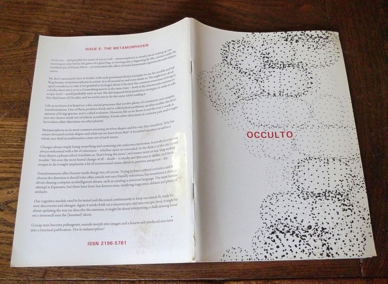 OCCULTO Magazine ISSUE E SUMMER 2013[rivista,arte,scienza,musica,Alice Cannava