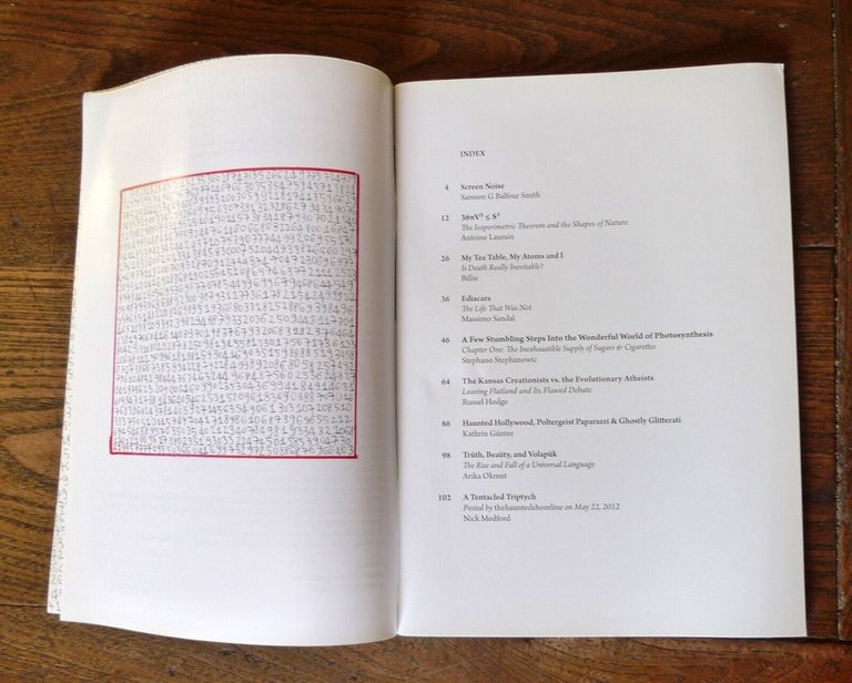 OCCULTO Magazine ISSUE E SUMMER 2013[rivista,arte,scienza,musica,Alice Cannava