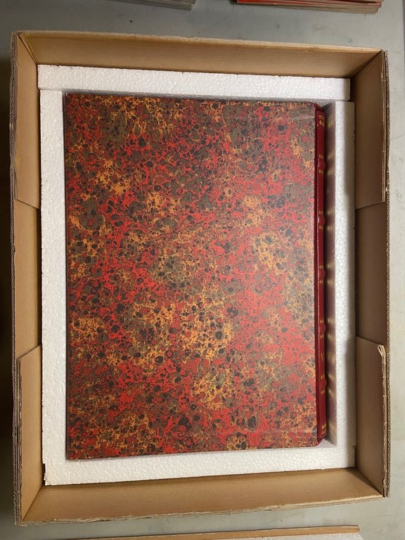 ODISSEA EDIZIONE GRANDI OPERE UTET COLLANA BIBLIA ARTIS ESEMPLARE N°306/1225 | Immagine Gallery 2