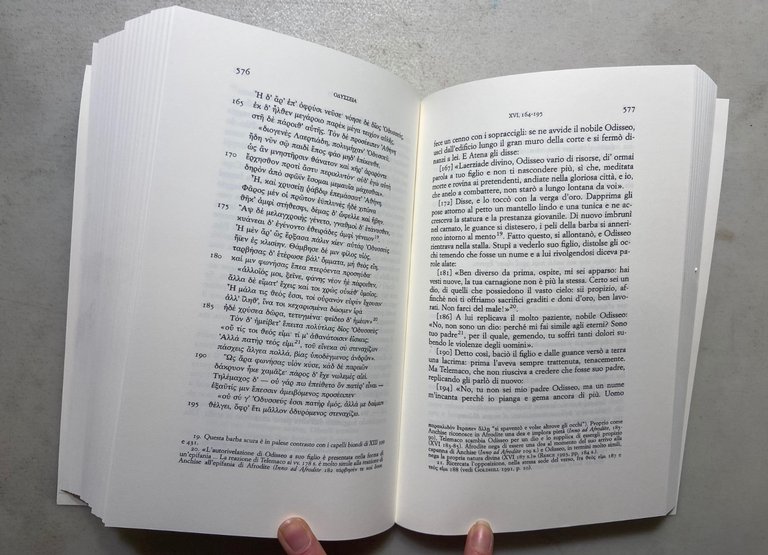 ODISSEA EDIZIONE GRANDI OPERE UTET COLLANA BIBLIA ARTIS ESEMPLARE N°306/1225 | Immagine Gallery 16