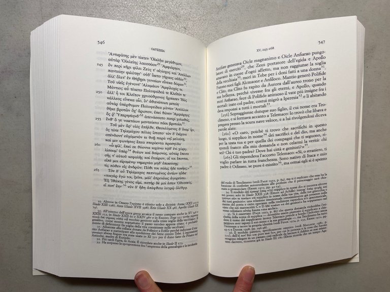 ODISSEA EDIZIONE GRANDI OPERE UTET COLLANA BIBLIA ARTIS ESEMPLARE N°306/1225 | Immagine Gallery 17