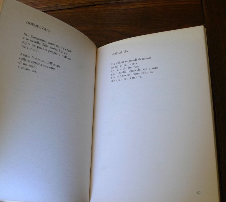 Orlando Veronese,CERCHI SULL'ACQUA,1987 Ed.del Leone I^[I PIOMBI - POESIA