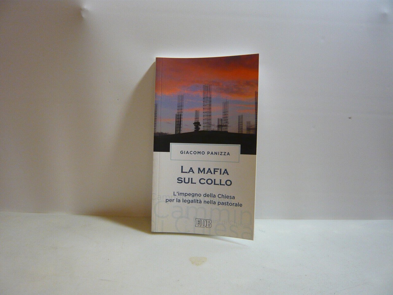 Panizza,LA MAFIA SUL COLLO,Bologna,2014[sociologia, studi sulla mafia