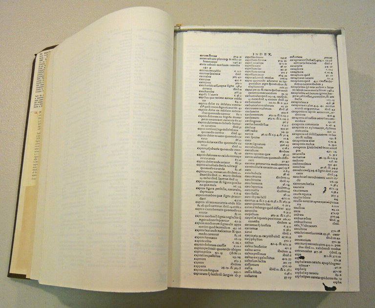 Paolo di Egina,PAULI AEGINETAE MEDICI OPERA,1542[anastatica,medicina