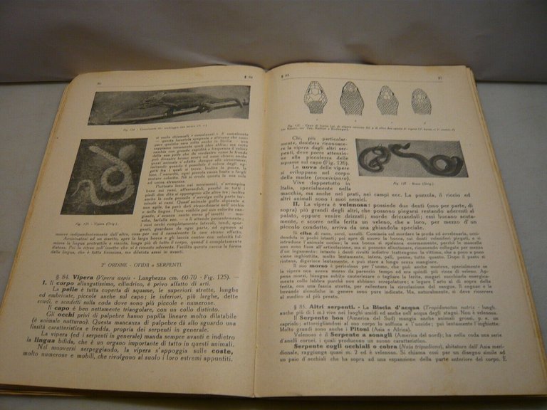 Paolo Enriques,ZOOLOGIA E BOTANICA,Zanichelli, Bologna, 1922