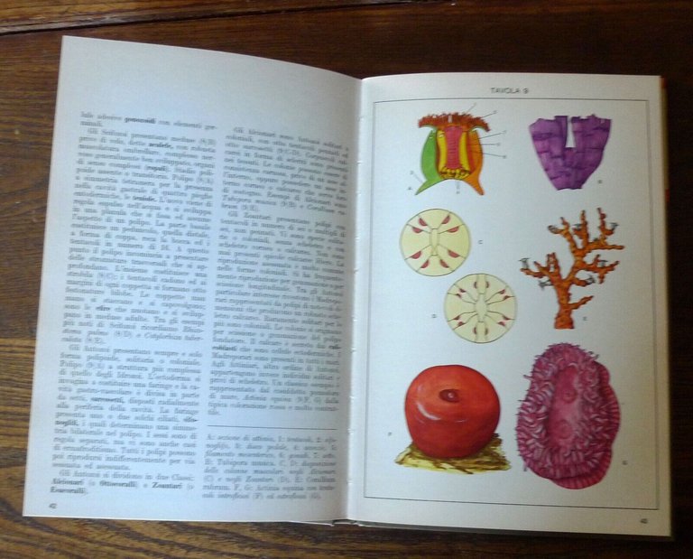 Parenti,ATLANTE DI ZOOLOGIA/DIZIONARIO DI ZOOLOGIA,1971 De Agostini