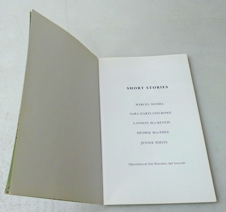 Patten,SHORT STORIES,2002 Winnipeg Art Gallery[catalogo arte contemporanea,Dzama