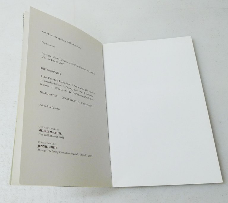 Patten,SHORT STORIES,2002 Winnipeg Art Gallery[catalogo arte contemporanea,Dzama