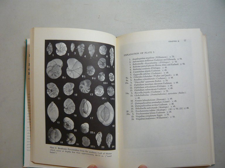 Phleger,ECOLOGY AND DISTRIBUTION OF RECENT FORAMINIFERA,Baltimora (USA),1960[ENG