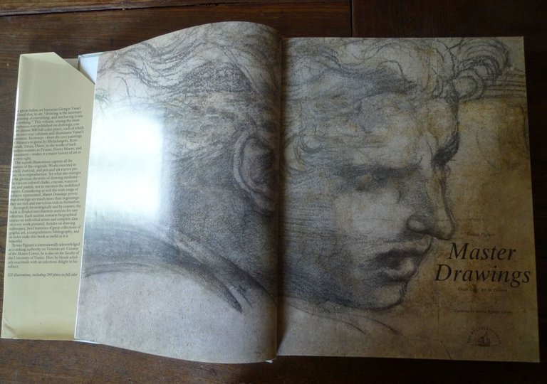 Pignatti,MASTER DRAWINGS.From Cave Art to Picasso,1989 Wellfleet[storia arte