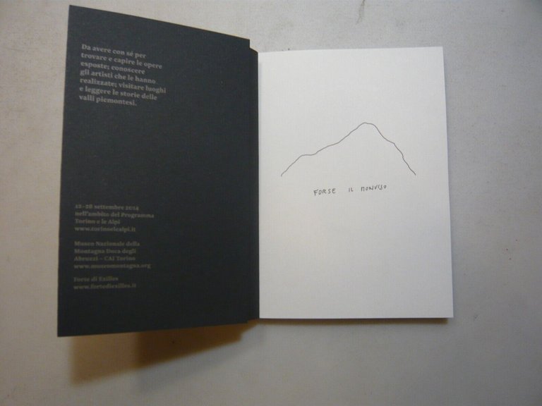 PINO CEMBRO,12-28 sett. 2014 nell’ambito del Programma Torino e le …