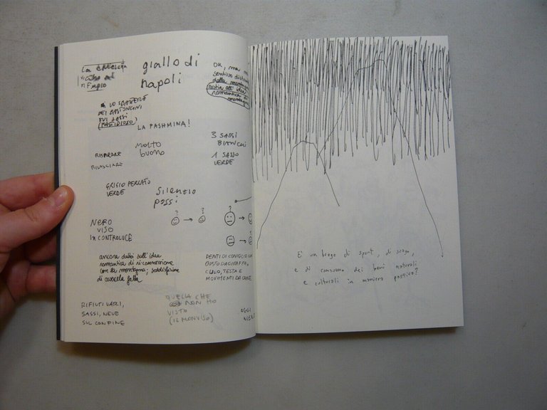 PINO CEMBRO,12-28 sett. 2014 nell’ambito del Programma Torino e le …