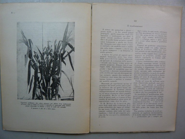 Pirovano,POSSIBILITA’ E LIMITI DEL TRASFORMISMO,Hoepli, 1951[botanica,incisioni