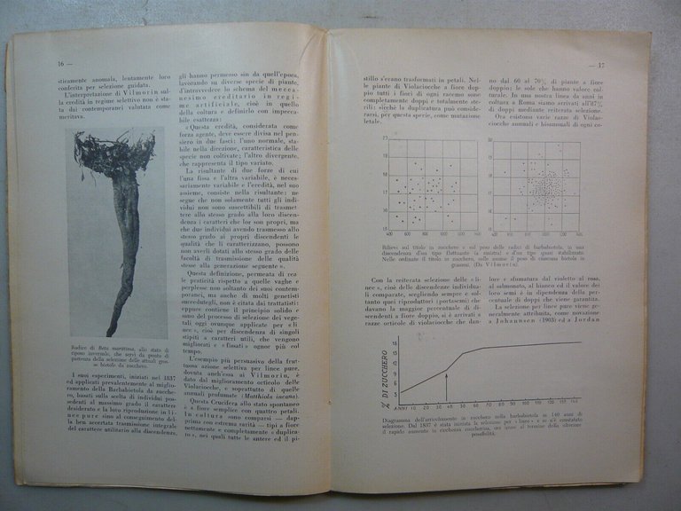 Pirovano,POSSIBILITA’ E LIMITI DEL TRASFORMISMO,Hoepli, 1951[botanica,incisioni