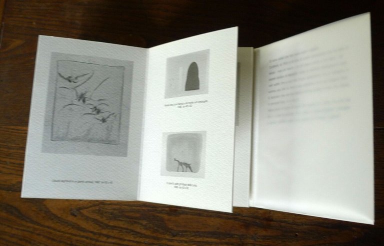 PIRRO CUNIBERTI.Catalogo della mostra,1996 Galleria Estense[arte contemporanea