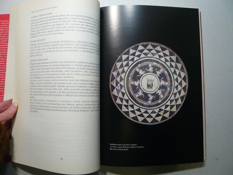 Ponti,Boccanti,IL MUSEO TRA ISTITUZIONE E AZIENDA, 1966[Palazzo Farnese