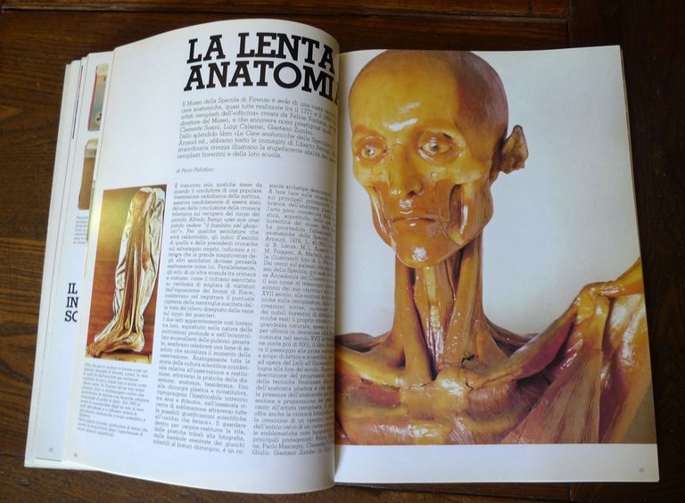 PORTFOLIO ILLUSTRATORI n.2 1981.Periodico quadrimestrale[museo Specola,Bianconi