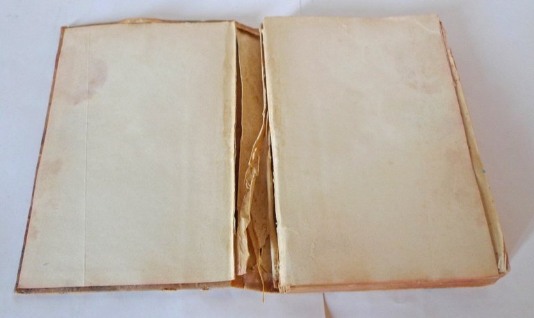 PRINCIPII DI STATICA.TEORIA E COSTRUZIONE DEGLI STRUMENTI METRICI,1895 Hoepli