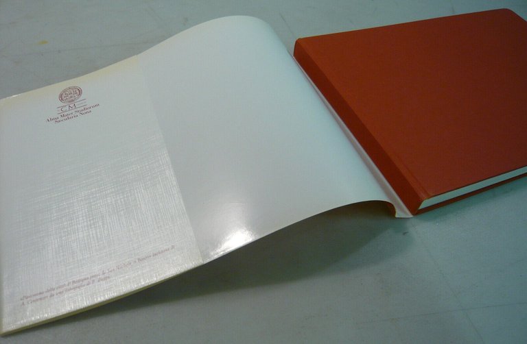 PROGRAMMA PER LO SVILUPPO TERRITORIALE DELL’ATENEO.1990-2000[Bologna,urbanistica