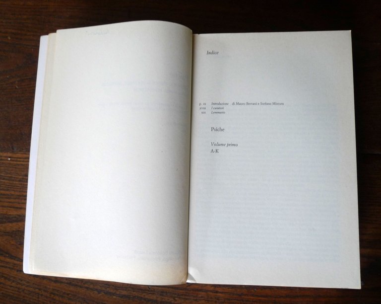 PSICHE.DIZIONARIO STORICO DI PSICOLOGIA,PSICHIATRIA,PSICOANALISI,NEUROSCIENZE