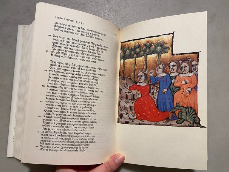 Publio Ovidio Nasone,METAMORFOSI,Einaudi 1979[I Millenni,Italo Calvino | Immagine Gallery 3