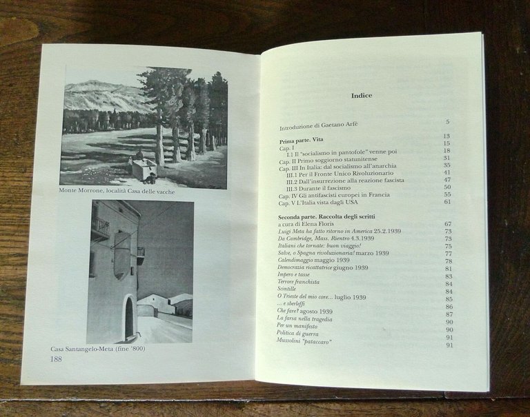 Puglielli,LUIGI META.VITA E SCRITTI DI UN LIBERTARIO ABRUZZESE,2004[ANARCHIA