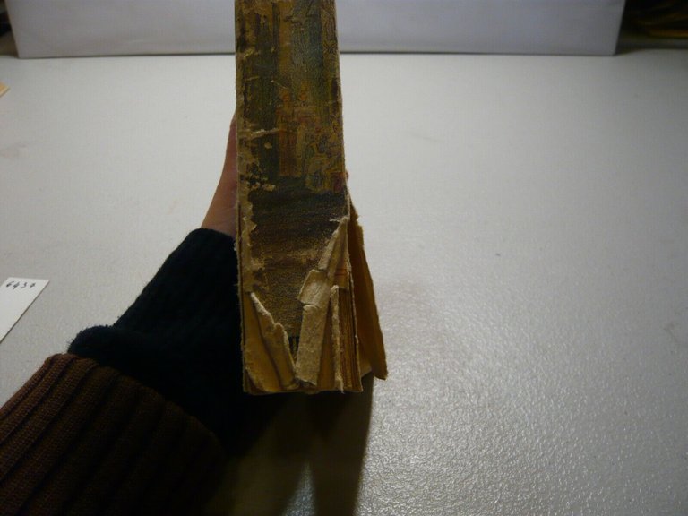 Raabe,IL PASTORE DELLA FAME,Casa Editrice Mediterranea, Roma, 1945